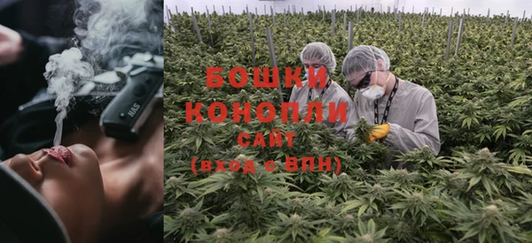 стафф Дмитровск