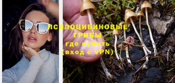 гашиш Дмитриев