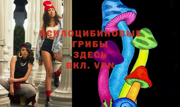 стафф Дмитровск
