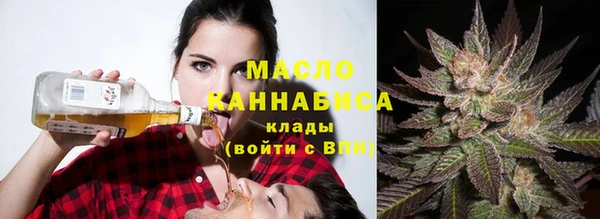 винт Ельня